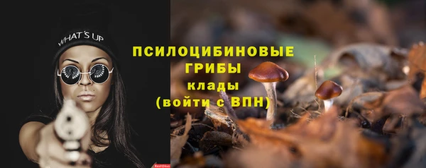 хмурый Елабуга