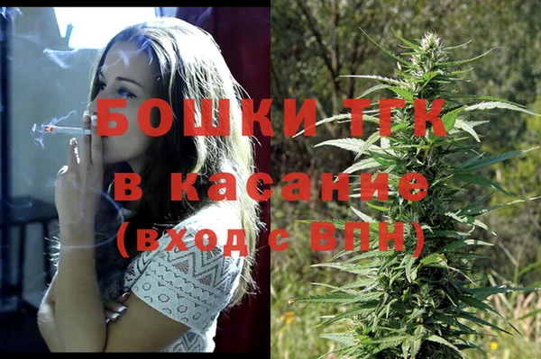 мдпв Елизово