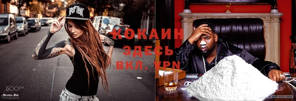 мдпв Елизово