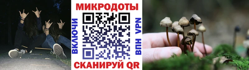 купить наркоту Кандалакша MEGA ссылка Псилоцибиновые грибы прущие грибы